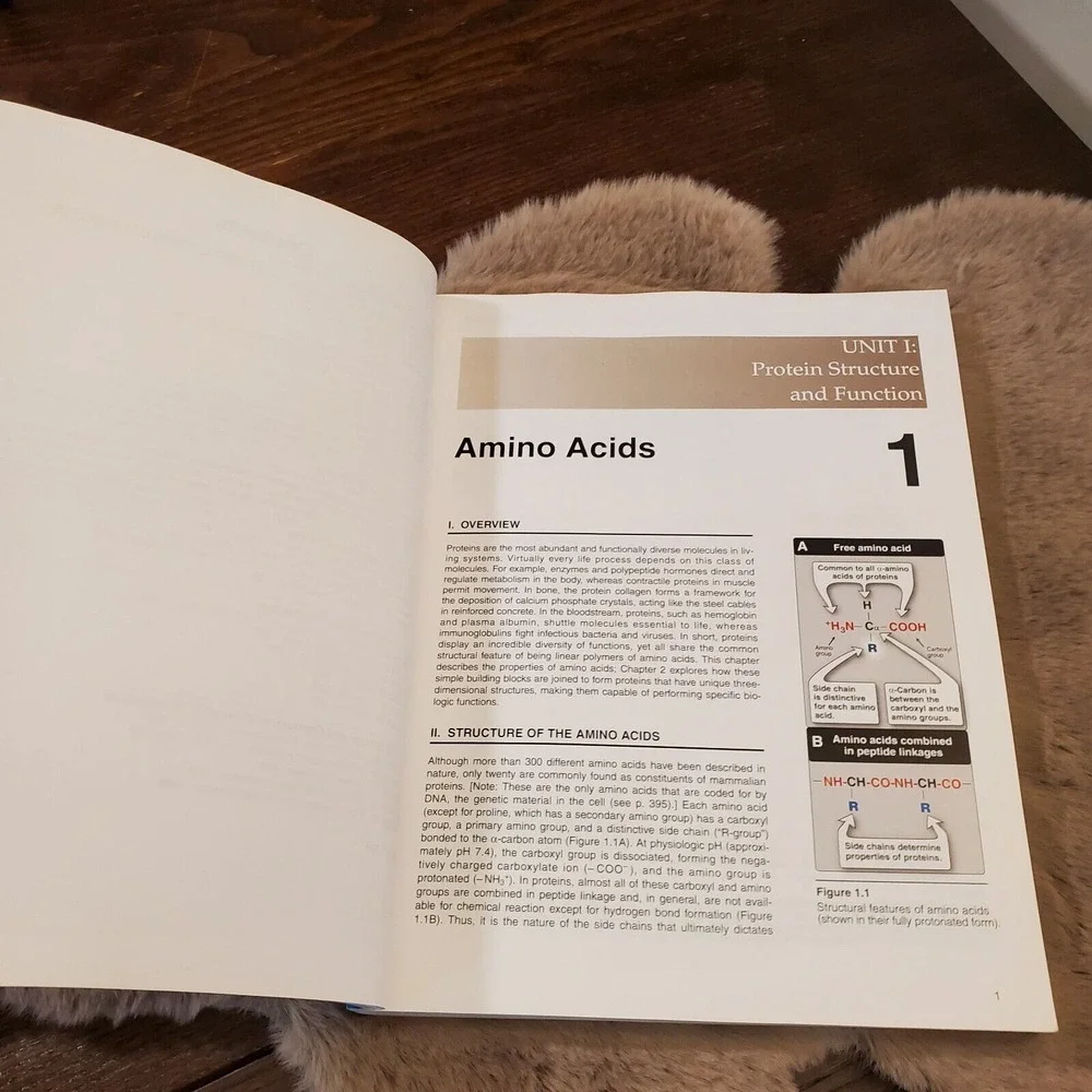Lippincott Illustrated Reviews: 4th Biochemistry by Pamela C. Champe, Richard A.